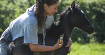 blanche pet sitter à LAON 02000_3