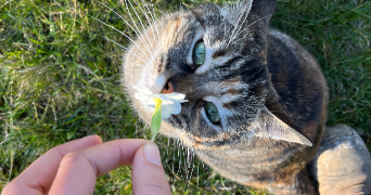 emma pet sitter à Beaune 21200_2