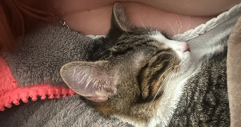 floriana pet sitter à POLLIONNAY 69290_1