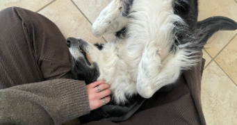 lisa pet sitter à GRENOBLE 38000_3