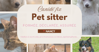 axelle pet sitter à NANCY 54000_7