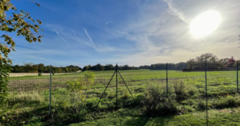 nikolaz pet sitter à ST CHERON 91530_2