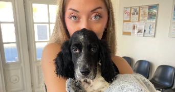 elodie pet sitter à ST LYE 10180_1