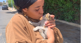 alicia pet sitter à MONTPELLIER 34000_1