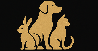 alexis pet sitter à HENIN BEAUMONT 62110_0