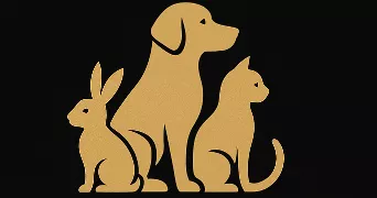 alexis pet sitter à HENIN BEAUMONT 62110