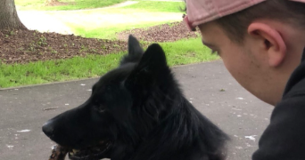 garice dog sitter à NANTES 44300_2