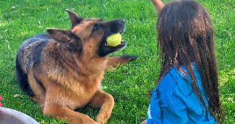 murielle pet sitter à BEAUCAIRE 30300_3