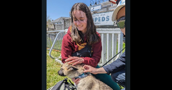 milla pet sitter à PUTEAUX 92800_1