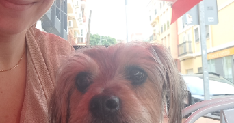 leslie pet sitter à ST MARTIN DE SEIGNANX 40390_1