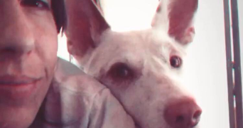 noémie pet sitter à TOULOUSE 31200_6