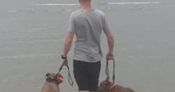 julien dog sitter à REXPOEDE 59122_3