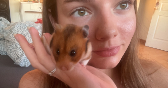 faustine pet sitter à CAMBLAIN L ABBE 62690_7