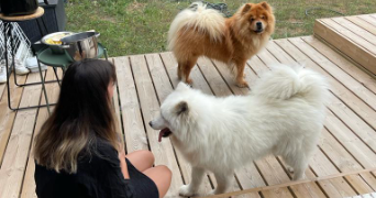 estelle pet sitter à RENNES 35000_3