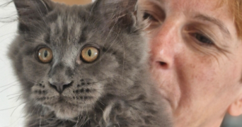 anna pet sitter à ST AMAND LES EAUX 59230_1