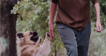 florence pet sitter à DRAGUIGNAN 83300_1