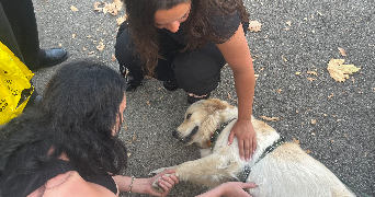 camille pet sitter à PARIS 18 75018_3