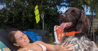 léa pet sitter à KOLBSHEIM 67120_3