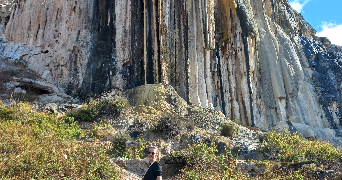 melanie pet sitter à REZE 44400_0