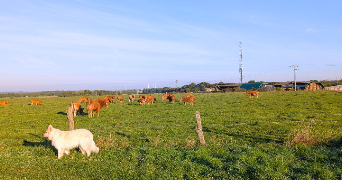 océane pet sitter à MOUTIERS 54660_2