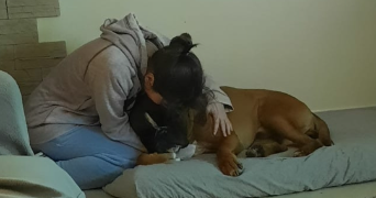 laurine pet sitter à BRUEIL EN VEXIN 78440_2