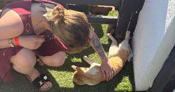 mathilda pet sitter à ORLEANS 45000_5