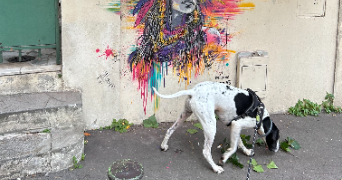 julia pet sitter à PARIS 75013_1