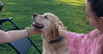 anna pet sitter à Oullins 69600_0