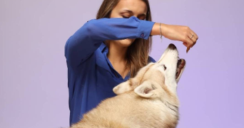 alexia pet sitter à WISSOUS 91320_2