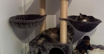 marwa pet sitter à LA CIOTAT 13600_2