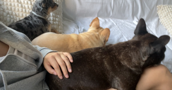 océane pet sitter à Basse-Goulaine 44115_3