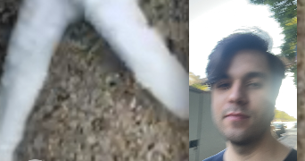 yvan pet sitter à PARIS 14 75014_3