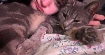 lou pet sitter à LYON 07 69007_0