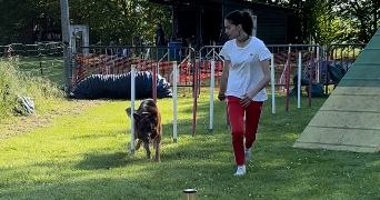 eloïse pet sitter à ST PIERRE LA GARENNE 27600_2