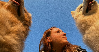 emma pet sitter à ST ALBAN LEYSSE 73230_2
