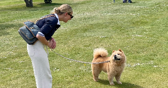 soleil pet sitter à PARIS 16 75016_2