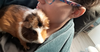 agathe pet sitter à VILLARD DE LANS 38250_2