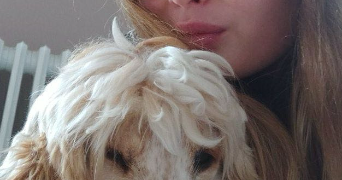 marysse pet sitter à MESNIL RAOUL 76520_1