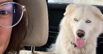 maëva-allison pet sitter à PONTOISE 95300_8