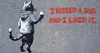 emilie pet sitter à CHENEREILLES 42560_1