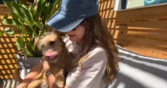 raphaëlle pet sitter à FONTENAY LE FLEURY 78330_0
