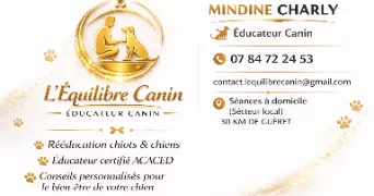 charly dog sitter à MOURIOUX VIEILLEVILLE 23210
