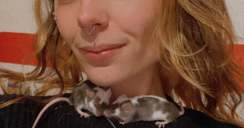 hallidays pet sitter à BELLEVILLE SUR LOIRE 18240_7