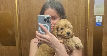 eva pet sitter à PARIS 17 75017