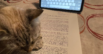 manon pet sitter à LYON 07 69007_1