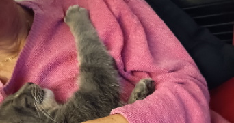 nathalie pet sitter à NICE 06100_2