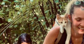 morgan pet sitter à TULLE 19000_6