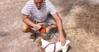 bruno pet sitter à VINCENNES 94300_5
