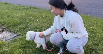 abby pet sitter à MASSY 91300_1