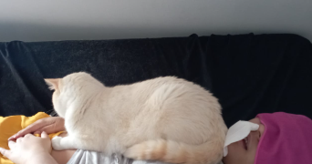 edgar pet sitter à AUBERVILLIERS 93300_5